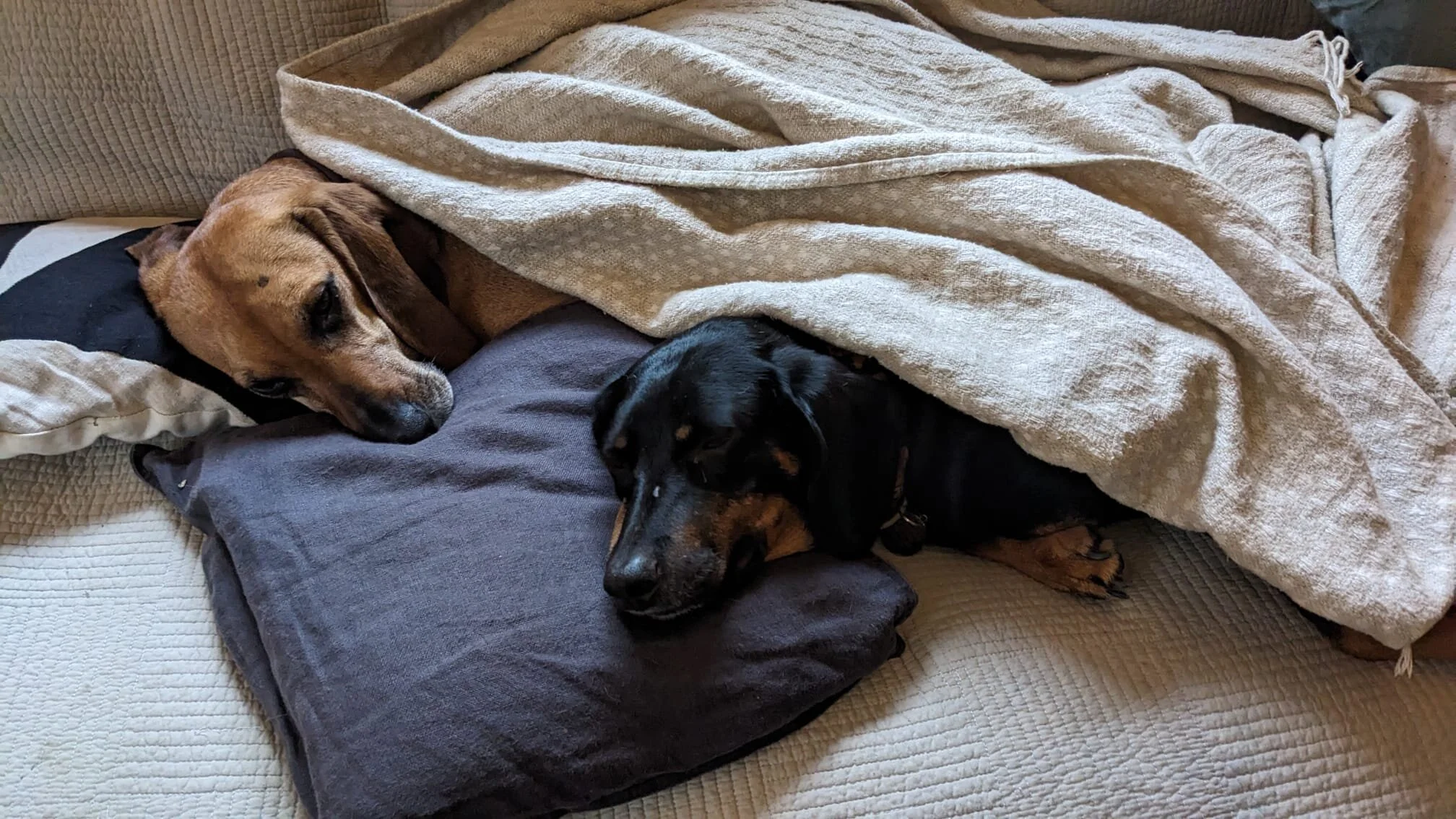 8070D0F2-3A02-4D27-9ACD-5AB77CA22144