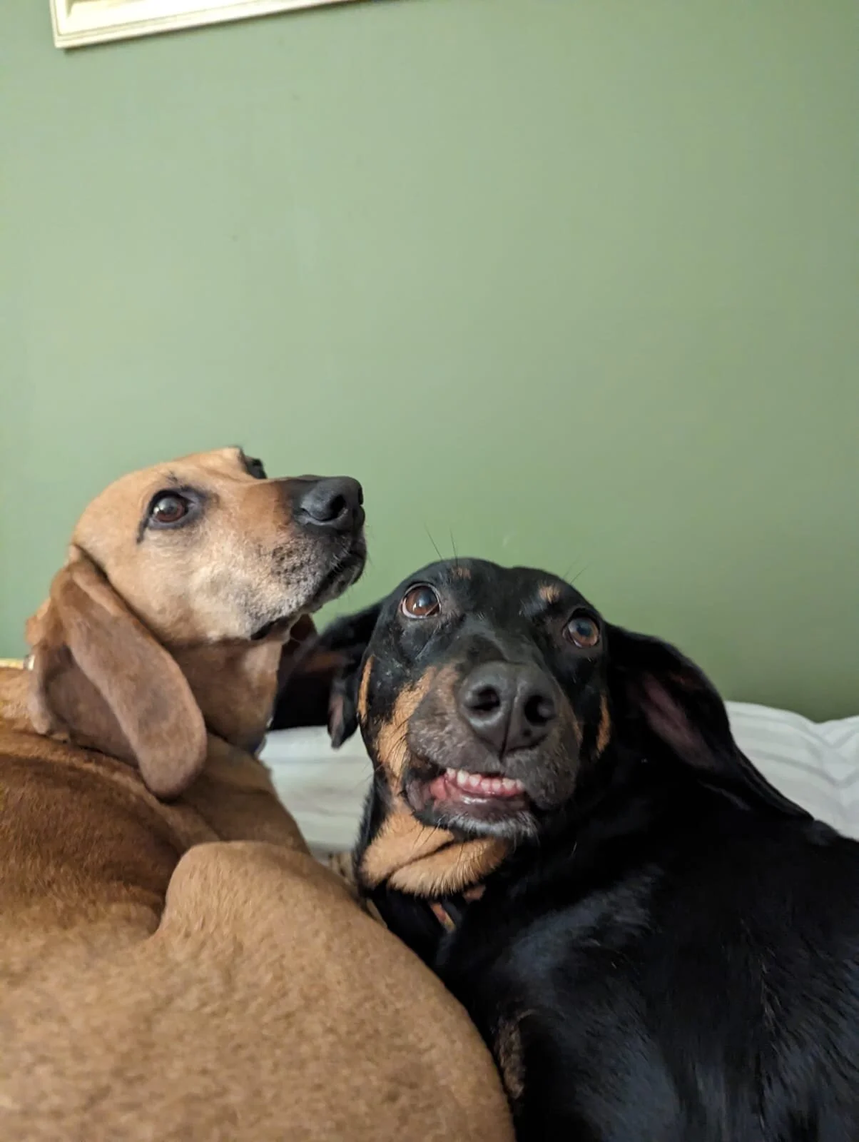 AE2EF0A7-BBFE-4F53-9C9C-F5A020D2238D