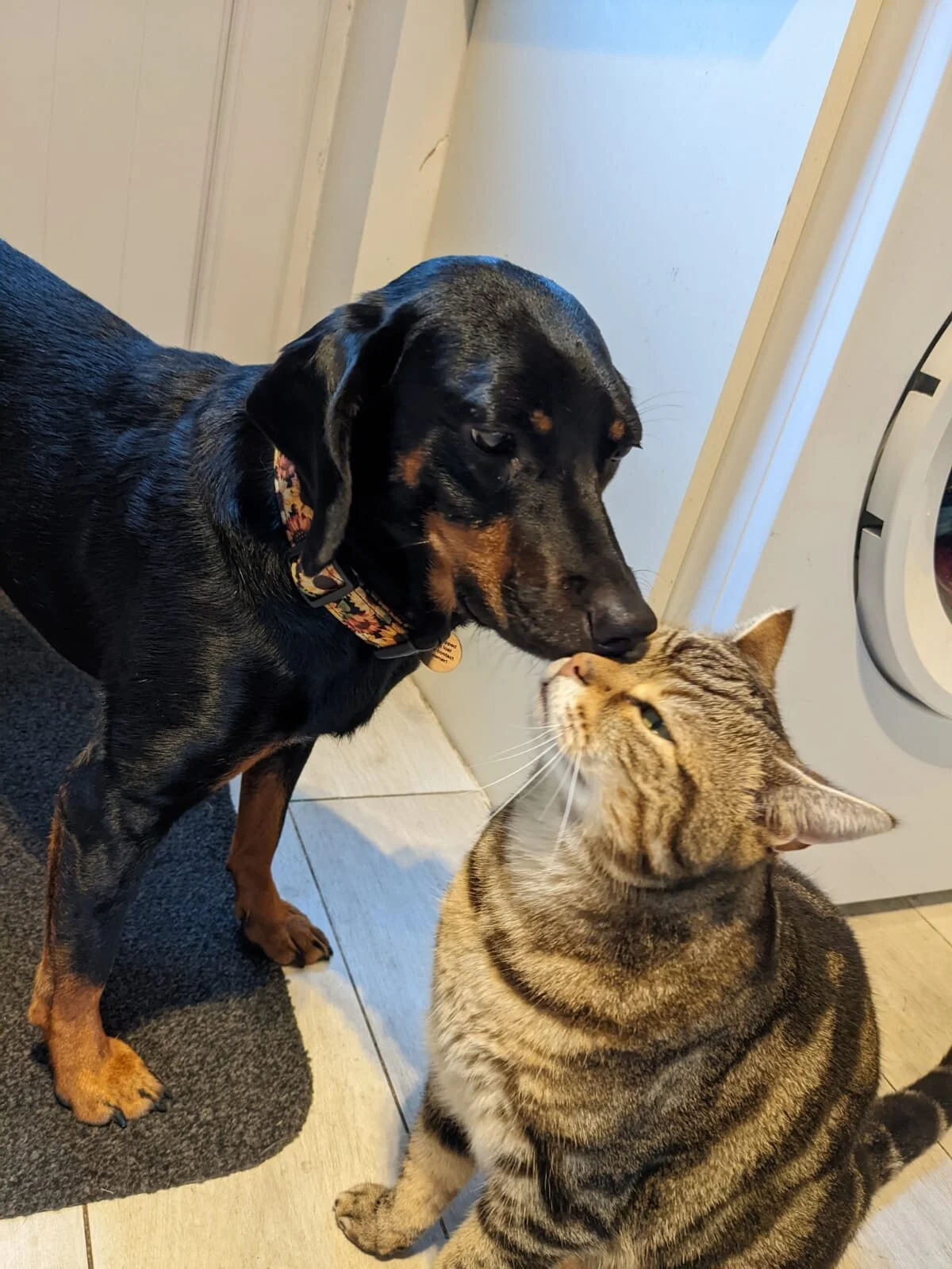 5F0E57BF-6685-430A-BB45-B1FD1C6E4AF5