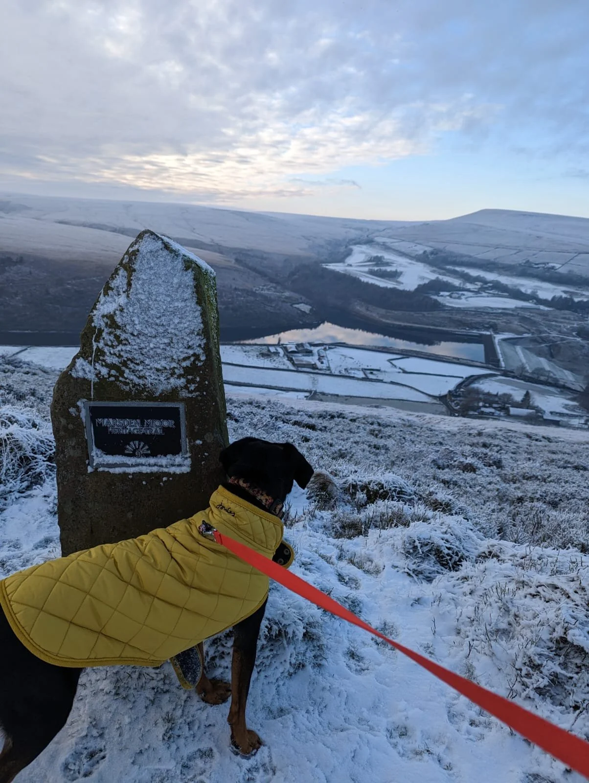 30955360-DAE0-4349-B11F-3340347CECFB