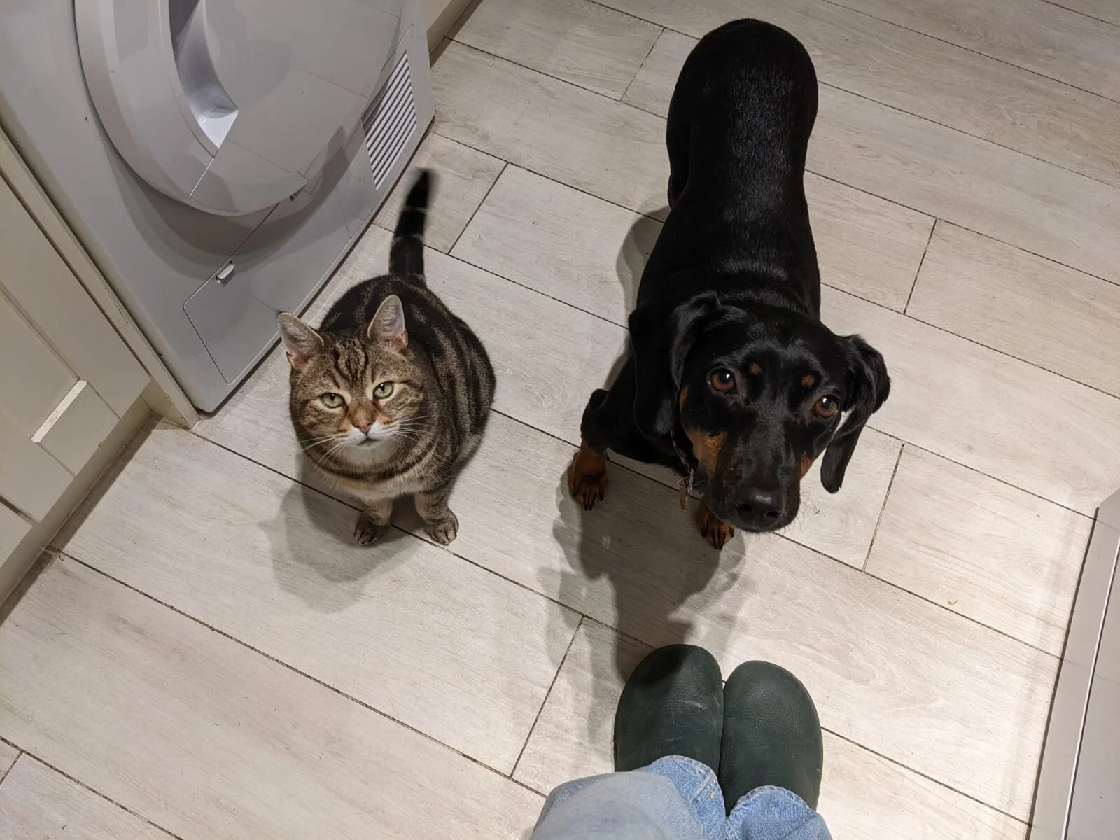 6E09008C-834E-4C3C-9C17-781F322C7235