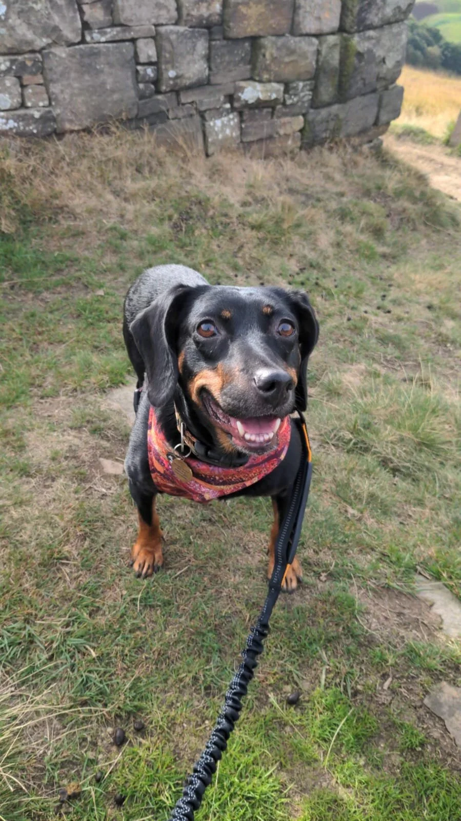 F8BDFF09-9DA1-466C-A0B8-F13394AF08C4