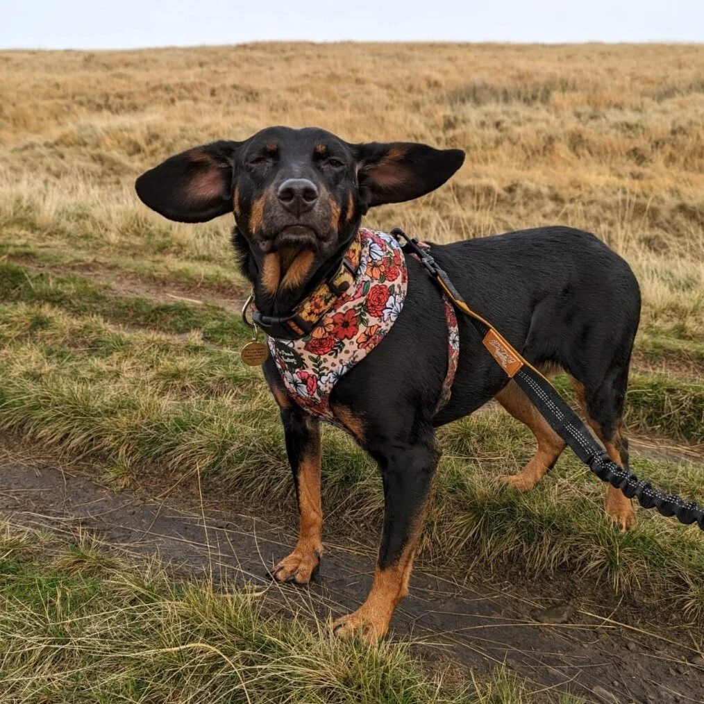 140D8DA1-6805-48B9-86E3-4B4587C3768E