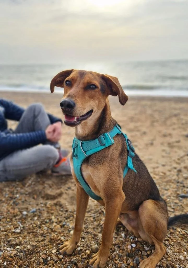 AEACAFE7-D846-45A3-82E9-A9A60177EC3A