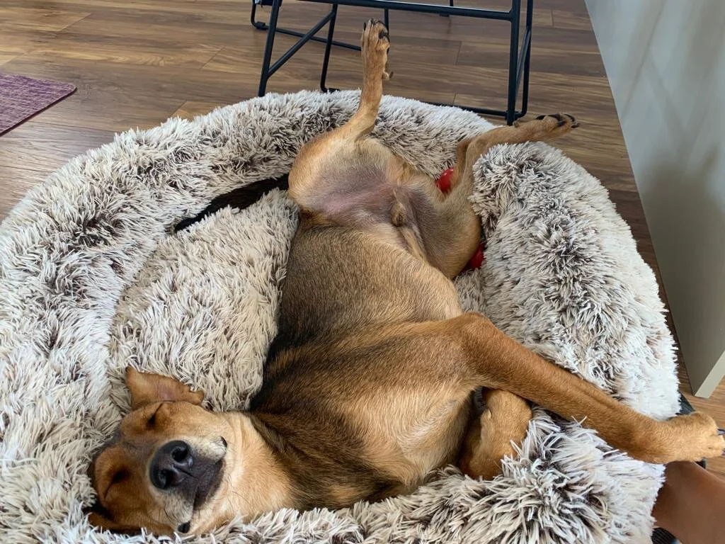 BA00FD88-D0A9-4FFB-9249-C52DC70B5328