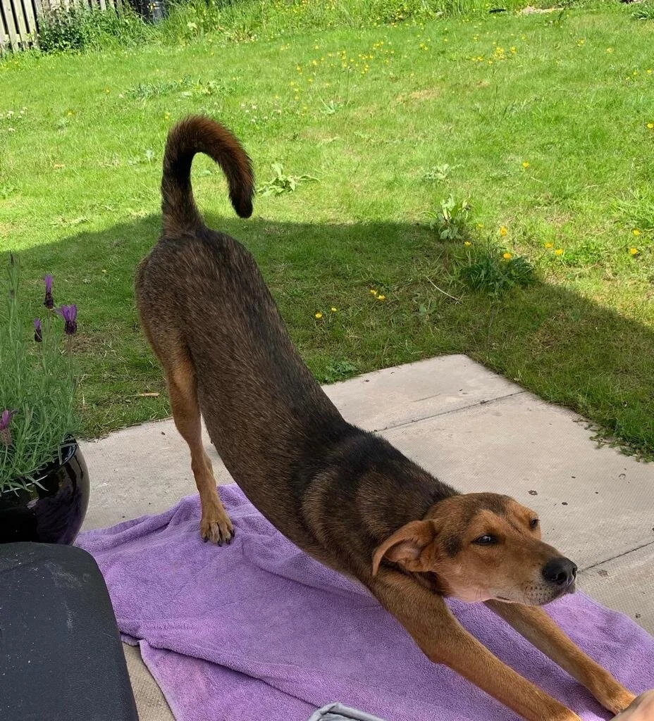 584F4733-F204-4CCD-B30B-2CD57A08A32A