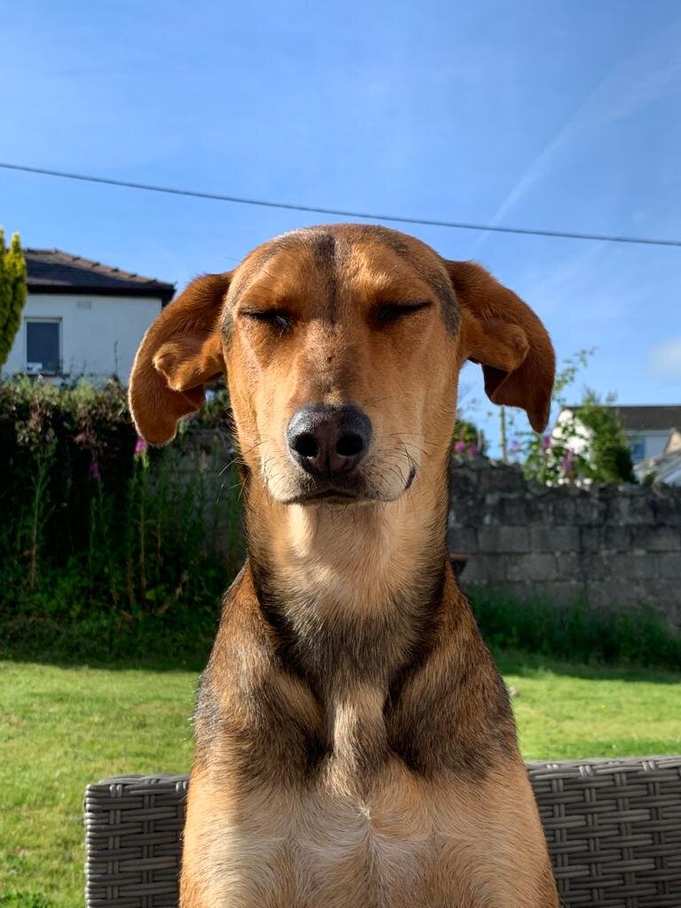 4AF385B3-D88B-4779-8B3F-6E9331CD68E6