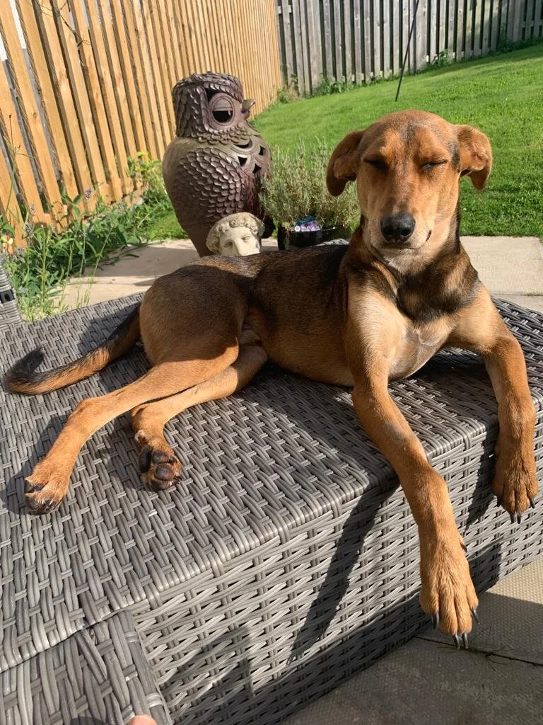 BA8EEE59-0574-4915-82C0-7B92BBC44114