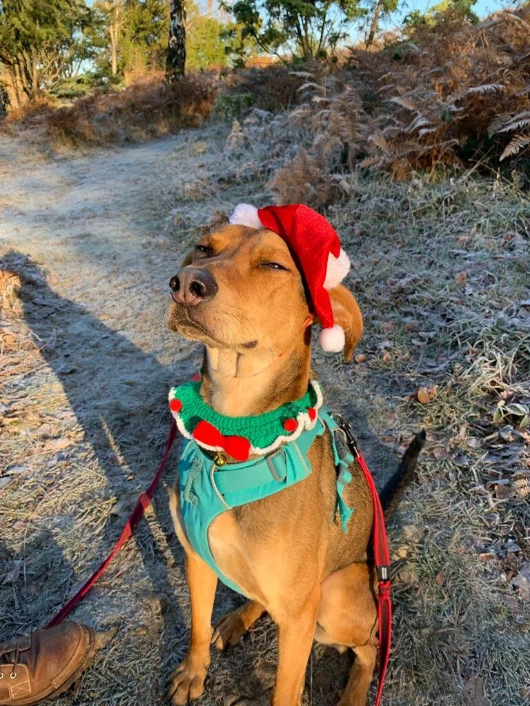 A4964703-E451-45D5-9D9A-3FDDA7D96CE9