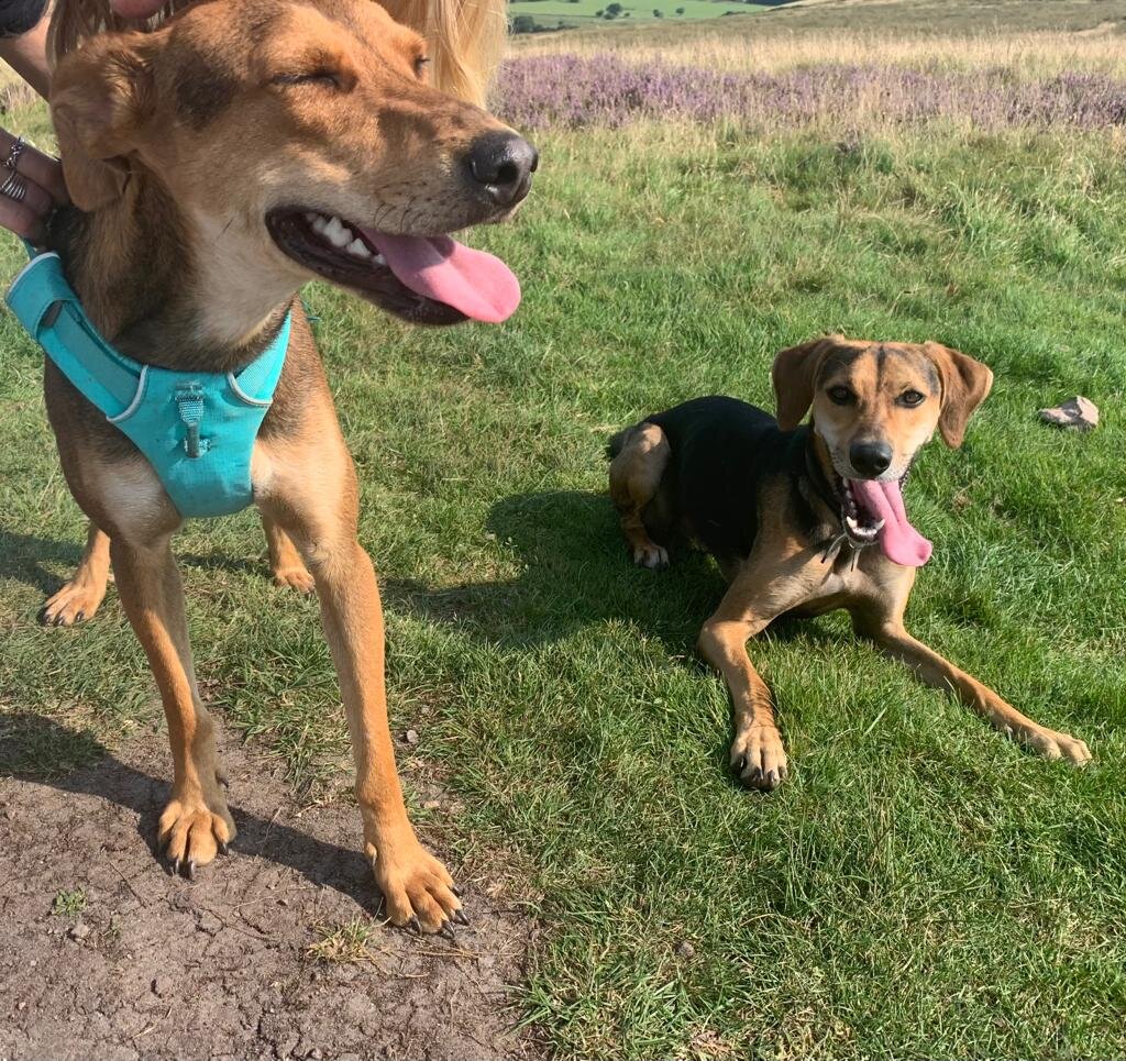 B293EA4A-9CFC-4F14-B956-84587461C685