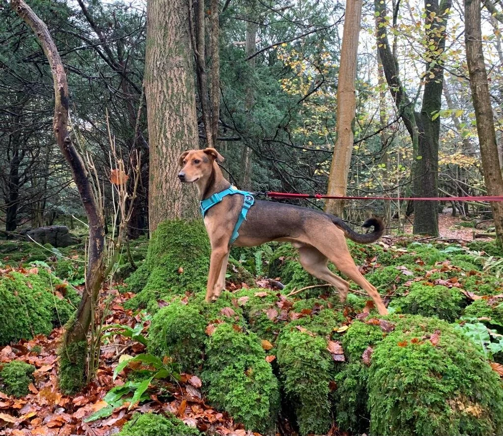 D905EB13-EEBA-4065-9F81-4AE16C0AA977