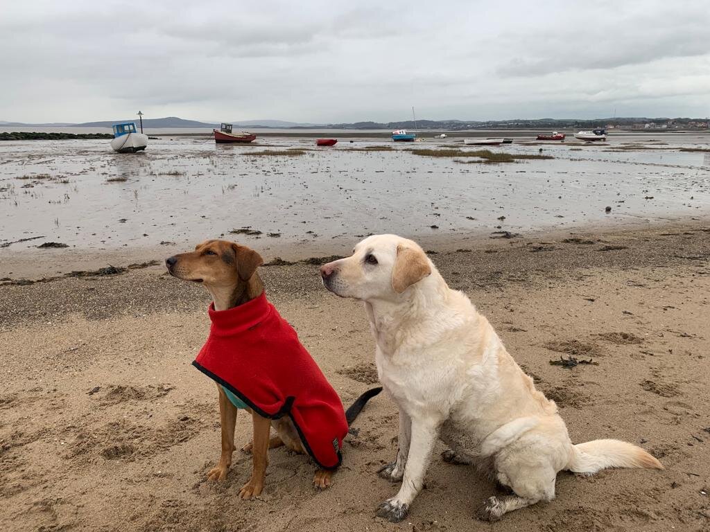 942647C8-2DCD-430E-B8C1-998F58369080