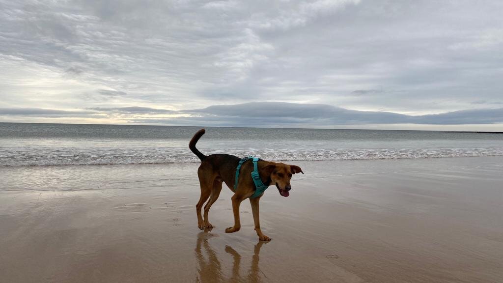 A2B88F5B-5A09-497F-A7E6-DFDF4DCC1984