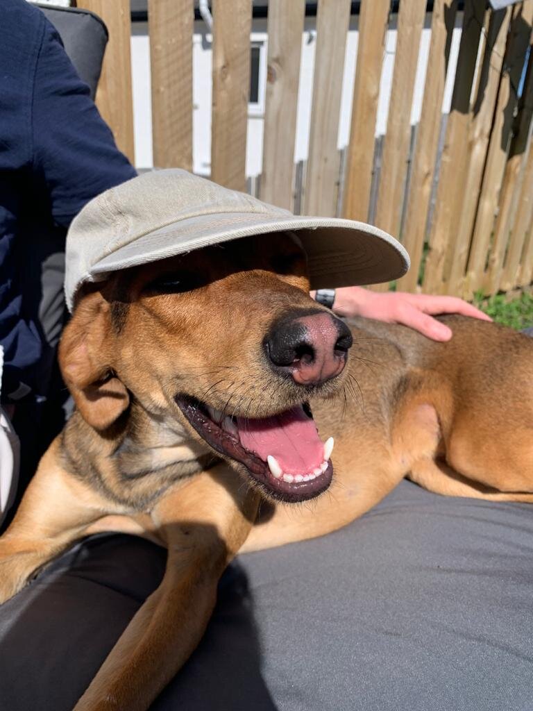 A00FED1F-EAB3-48FB-9D70-CCDF56C0A8DB