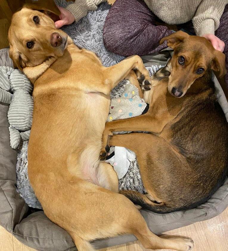 F703B6CF-8C4F-4D25-8C2F-1B6CBAC981E2