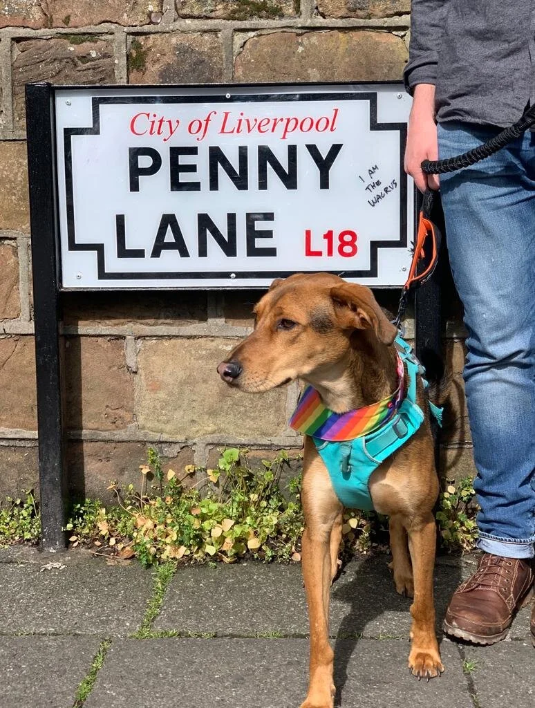 FA82A1F9-3F30-413D-905B-103BD4D95F29