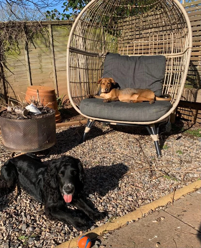 97B95C7E-437A-40C0-A410-0E9288CE6B34