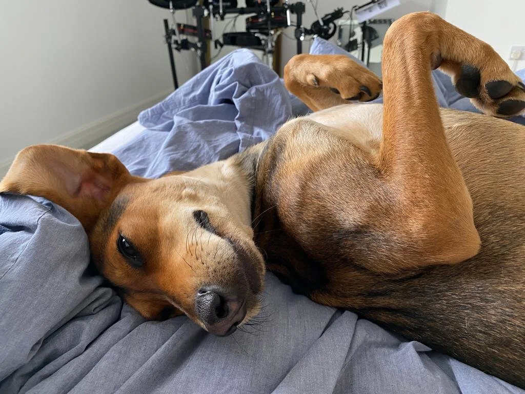 58FF53EA-E9F4-4ACC-9B0E-805D2E0774C2