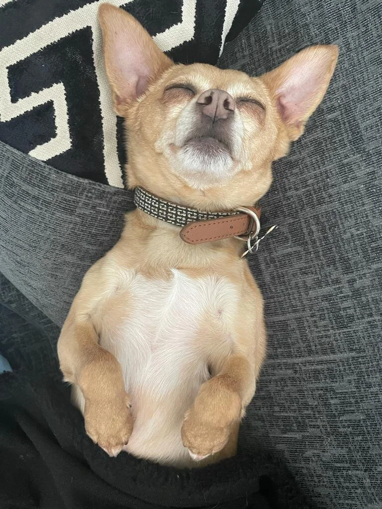 5F711592-FCD5-47D8-8ED1-E95CF43F78BE