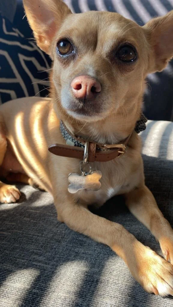 40CCCBA3-9254-4AB9-BB73-067BC79DAAE6