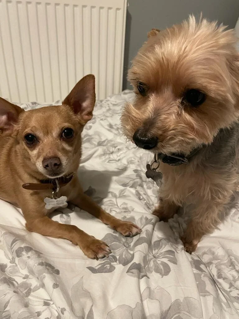 FAF5A3A6-1B69-4BF5-9FD0-6E302B98F46A