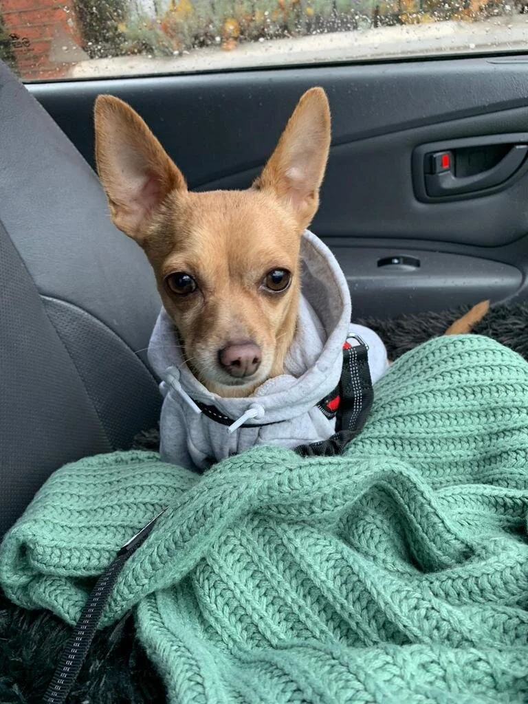 ECCE7B08-4E45-4F53-AECD-7CCE7D4D3381