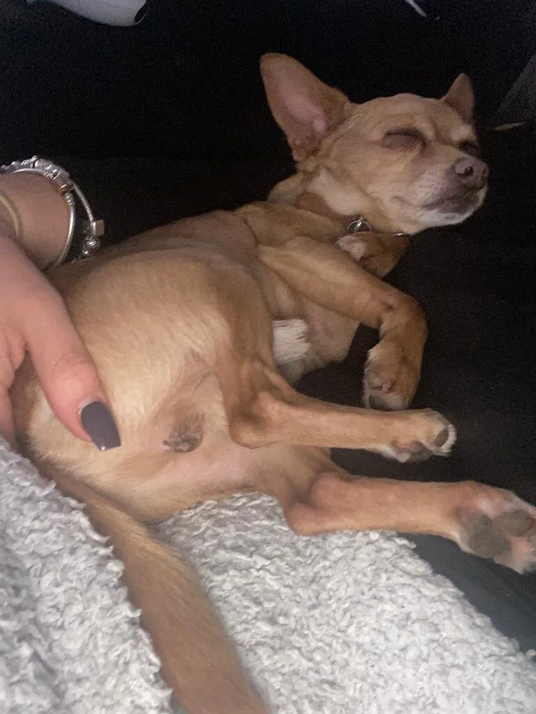 D980F66A-E208-48B5-992F-BE19C212E717