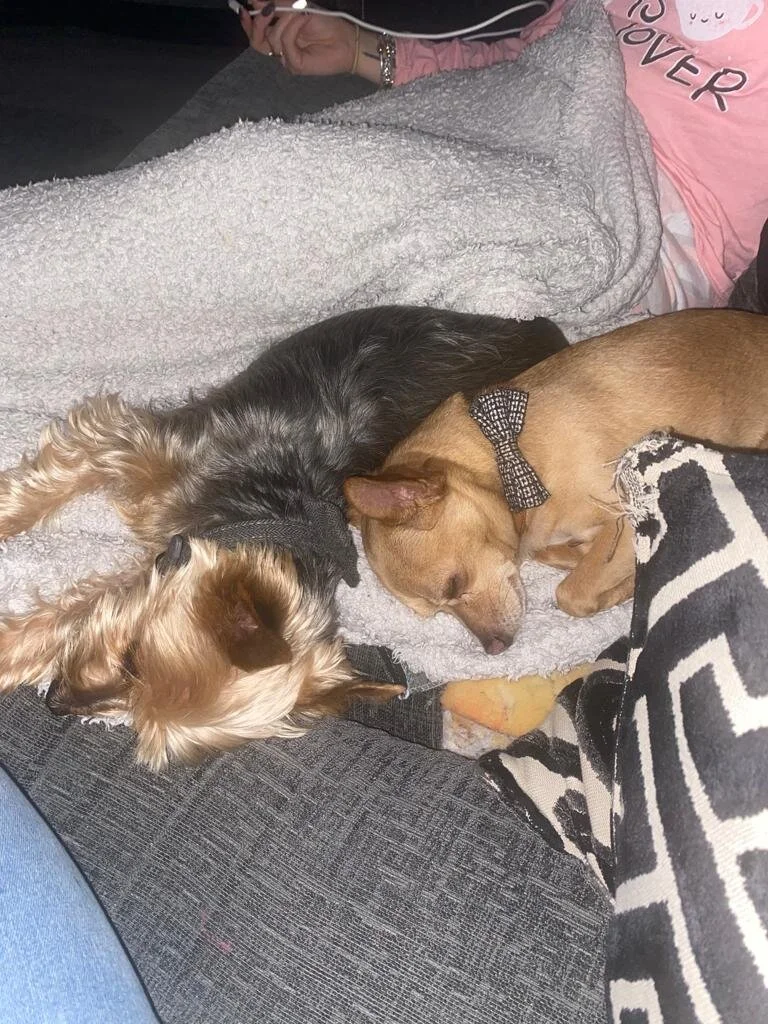 CA34516D-868E-45D9-987B-4FD7CC76C14E