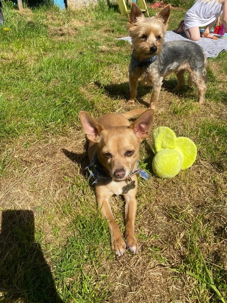 CB074934-5F7B-4C4B-8588-A69525FFA0A2