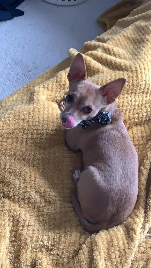 9A01CF94-D31D-49AF-9E9F-EF17BDBC2EFB