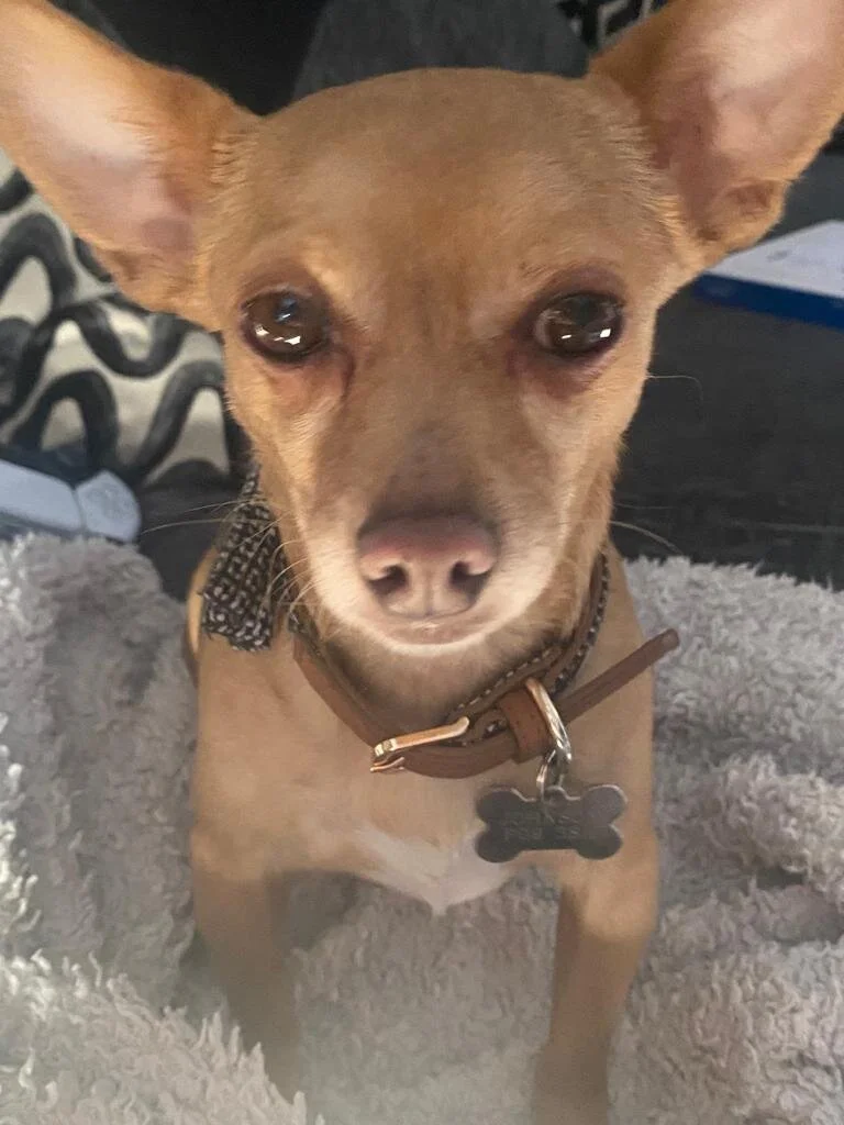 3FC4B1E1-A13D-4480-BA81-58F70A65EECC