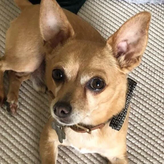 D66DD25C-DC77-47BF-BA19-7D26CDFD16A1