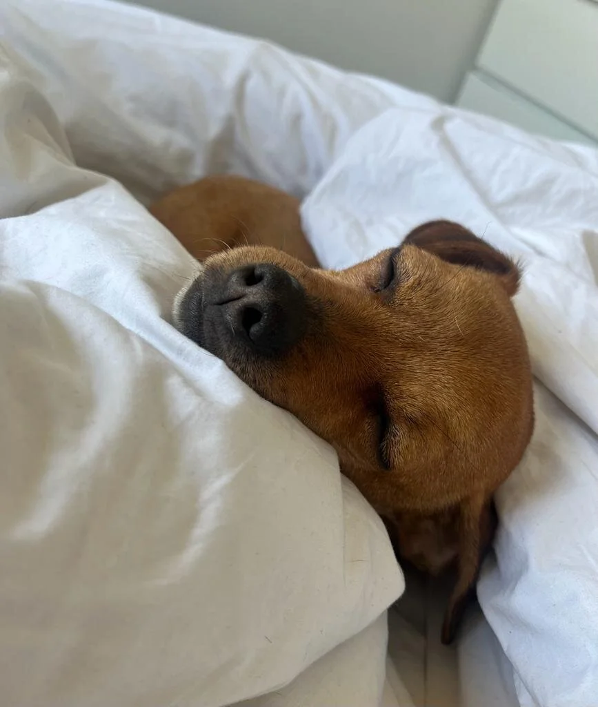 7A882506-57B3-467B-B519-7B9D8B197728