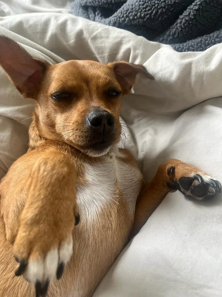 B2EC9024-C086-4844-8CD0-952A62C5C8A5