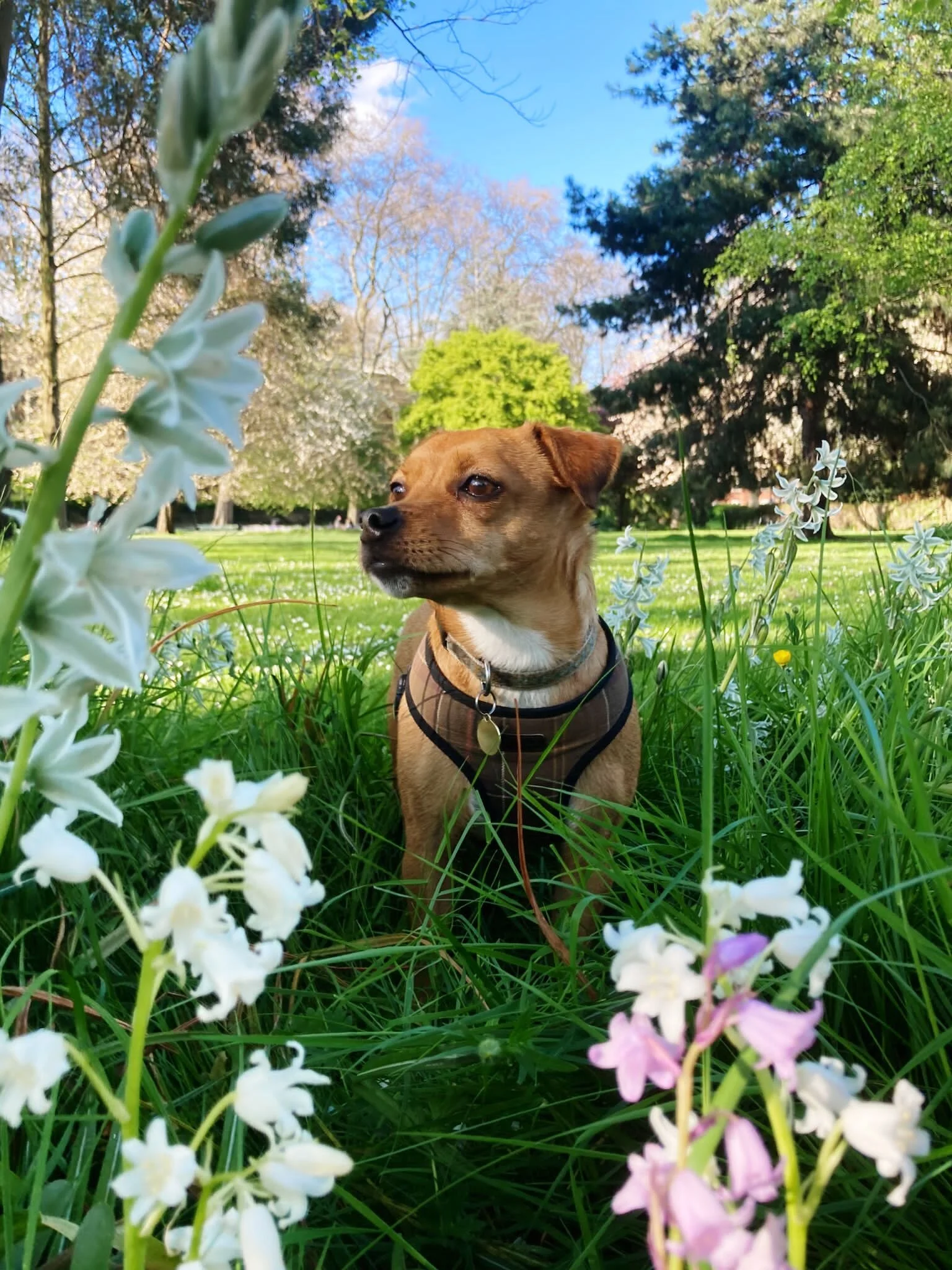 751DD45B-25CA-4517-9EB1-C3D1F85FBB0C