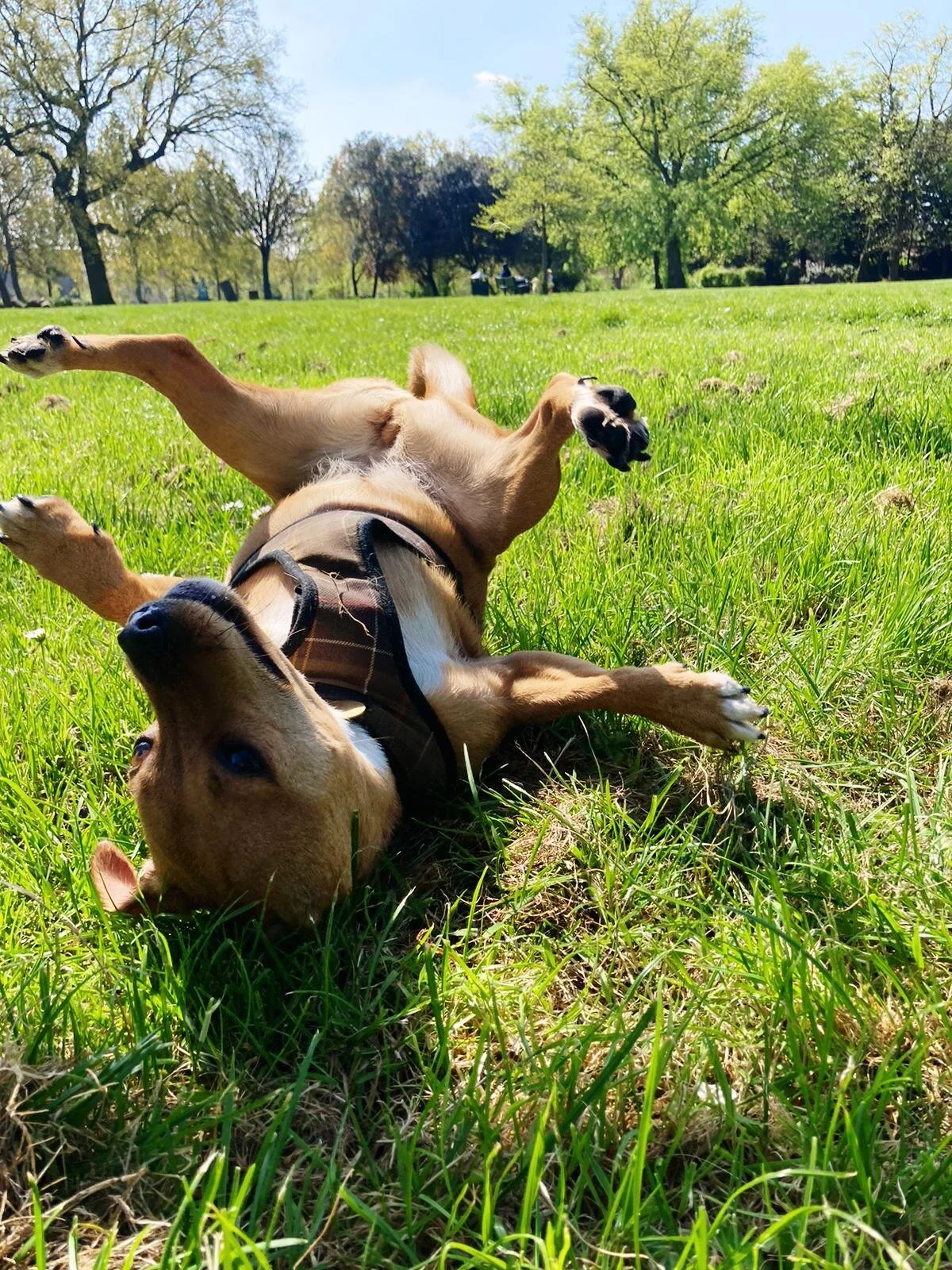 F12BE074-6548-41B5-9EE7-0E67FC853E65