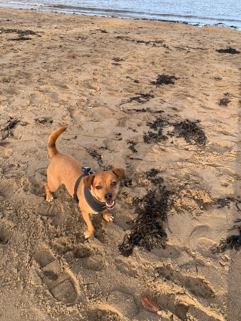 C59FAE43-C8B6-4790-8C46-25E2847570F6