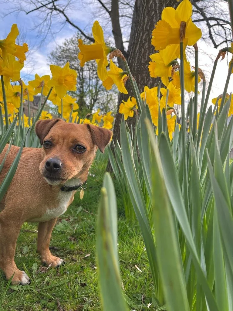 2EC4416F-053D-4B87-A355-4C668C2E4A26