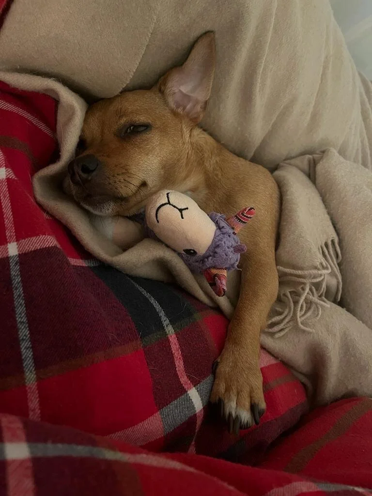 5E9D0499-80A5-44A1-B7DB-EE0C42CF85C5