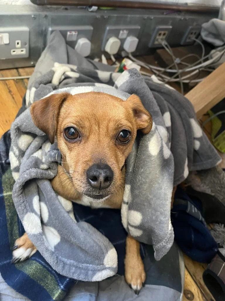 8D2D1C41-781B-4AD3-B0AC-74D0AAFE3E5D