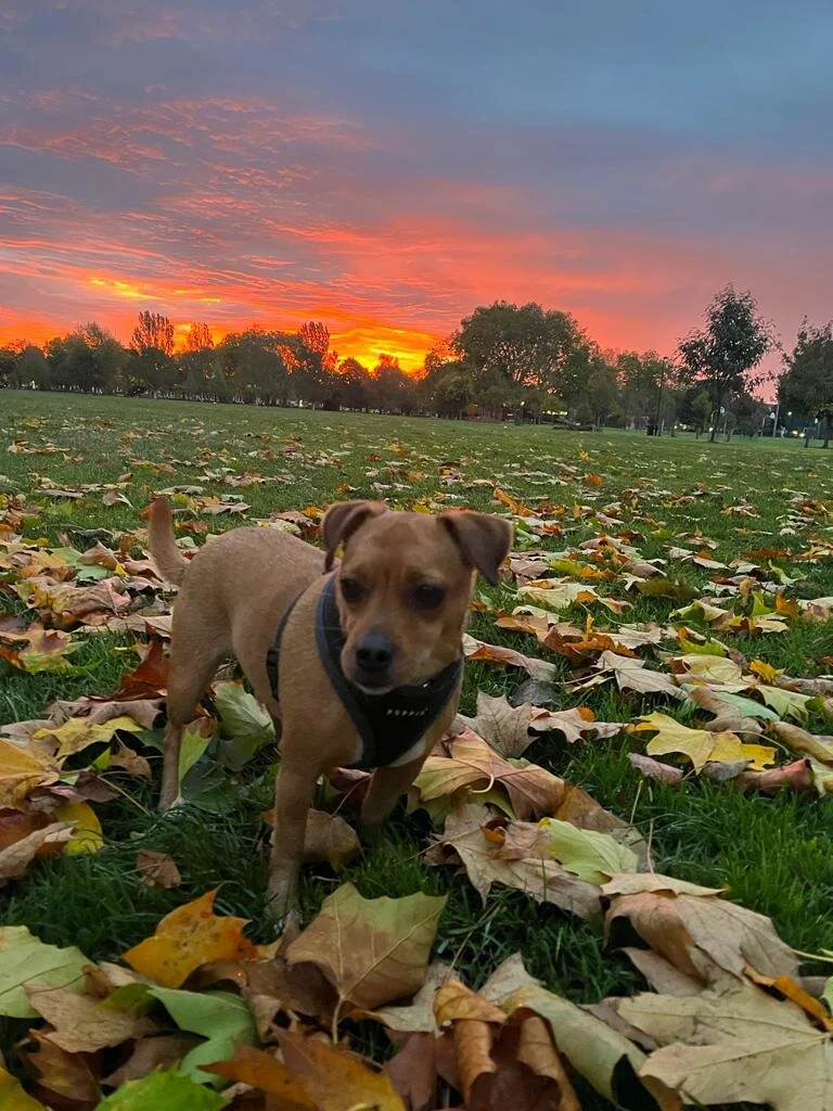 4C6C6C5E-6979-4F39-B231-BAE9E8DA6A44