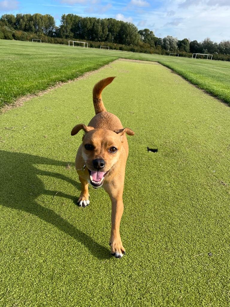 49D17972-1318-4C5C-9333-8B893EB94D11