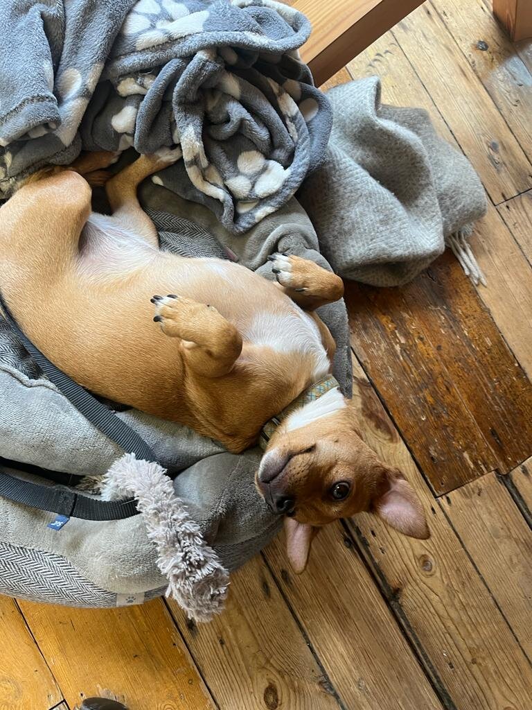 A5B99106-E289-4E2A-8FD9-1A6B5F4880EF