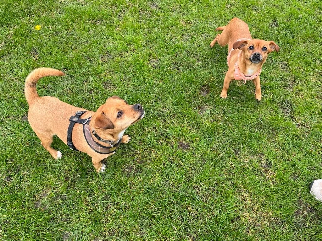 60FADC4E-DF8E-468C-99DC-6D6A9EFF43C6