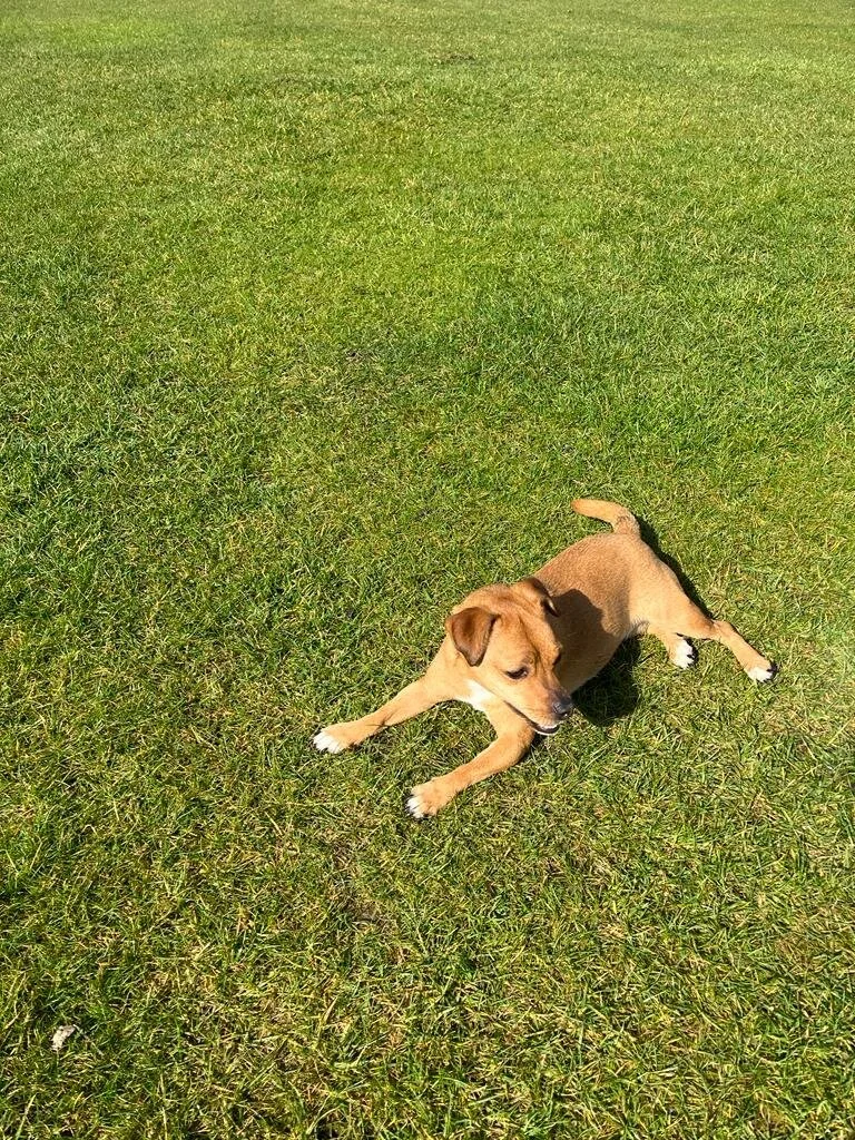 80CF00FB-6E66-4F3C-A84F-797DF4133A2D