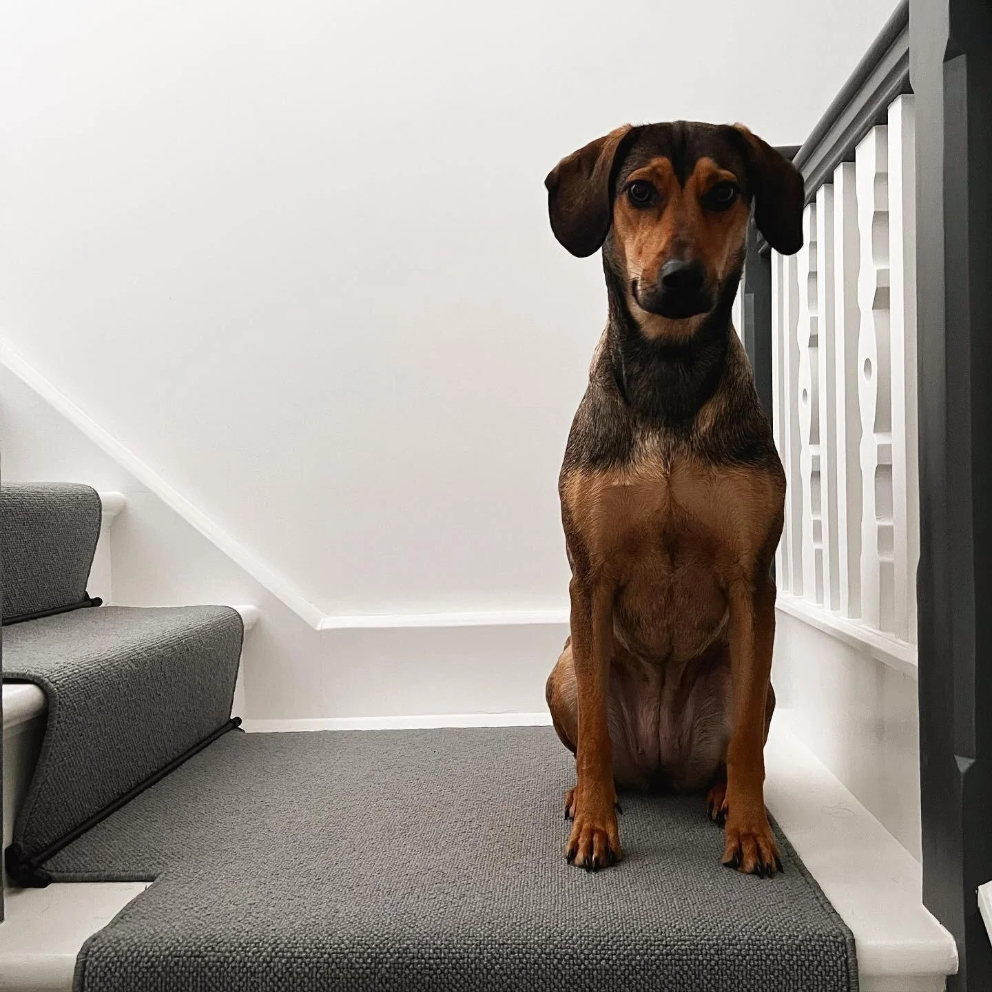 3BDBE48C-EDD1-448A-BE9E-C6BBF58AC7A1