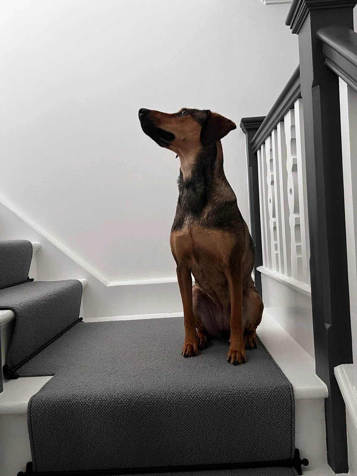 824F1576-3F64-4813-AC9C-4DD7505ABD8F