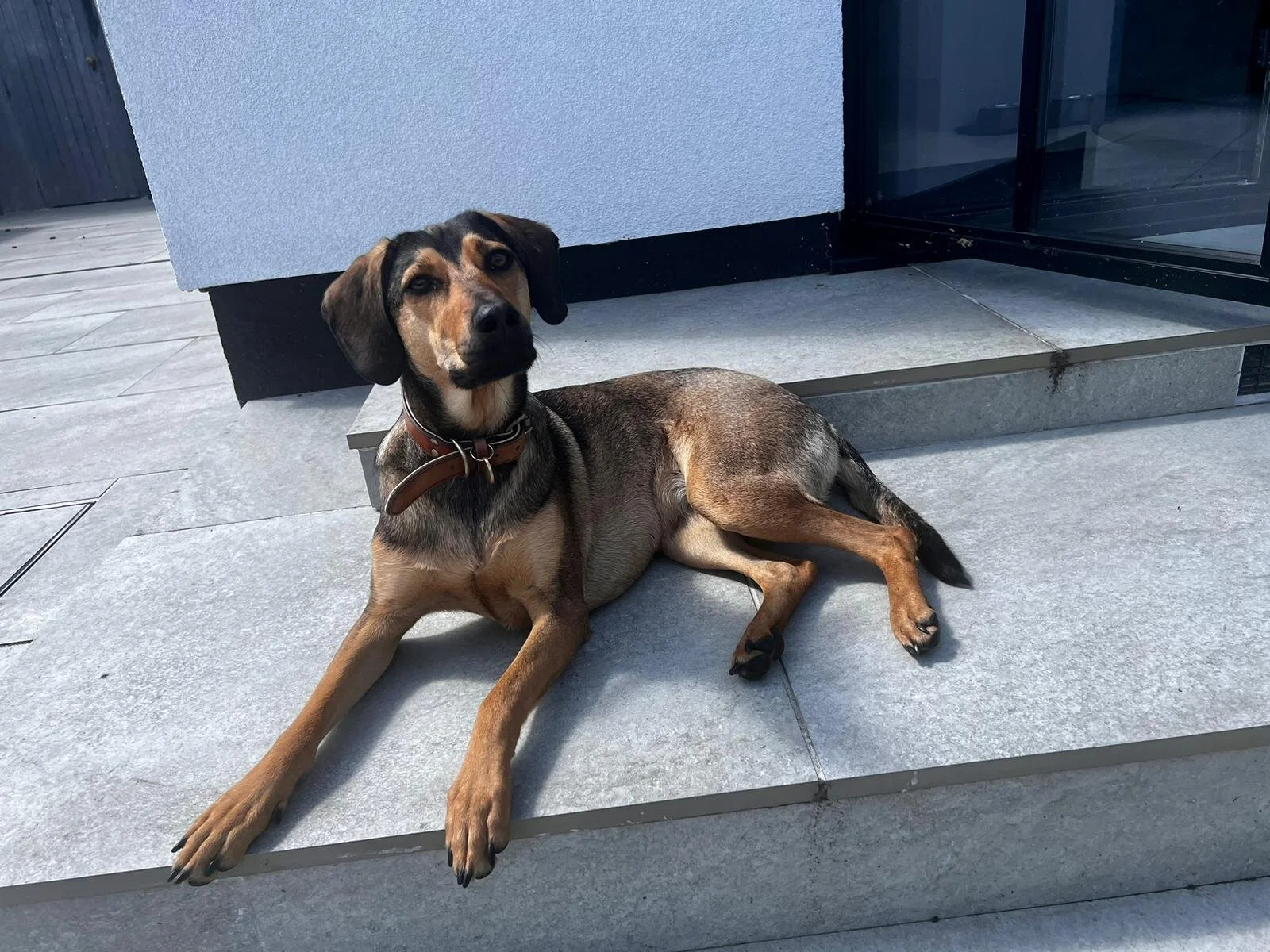 4B4E7D25-03F8-4947-90B5-240CF1EE5AC6