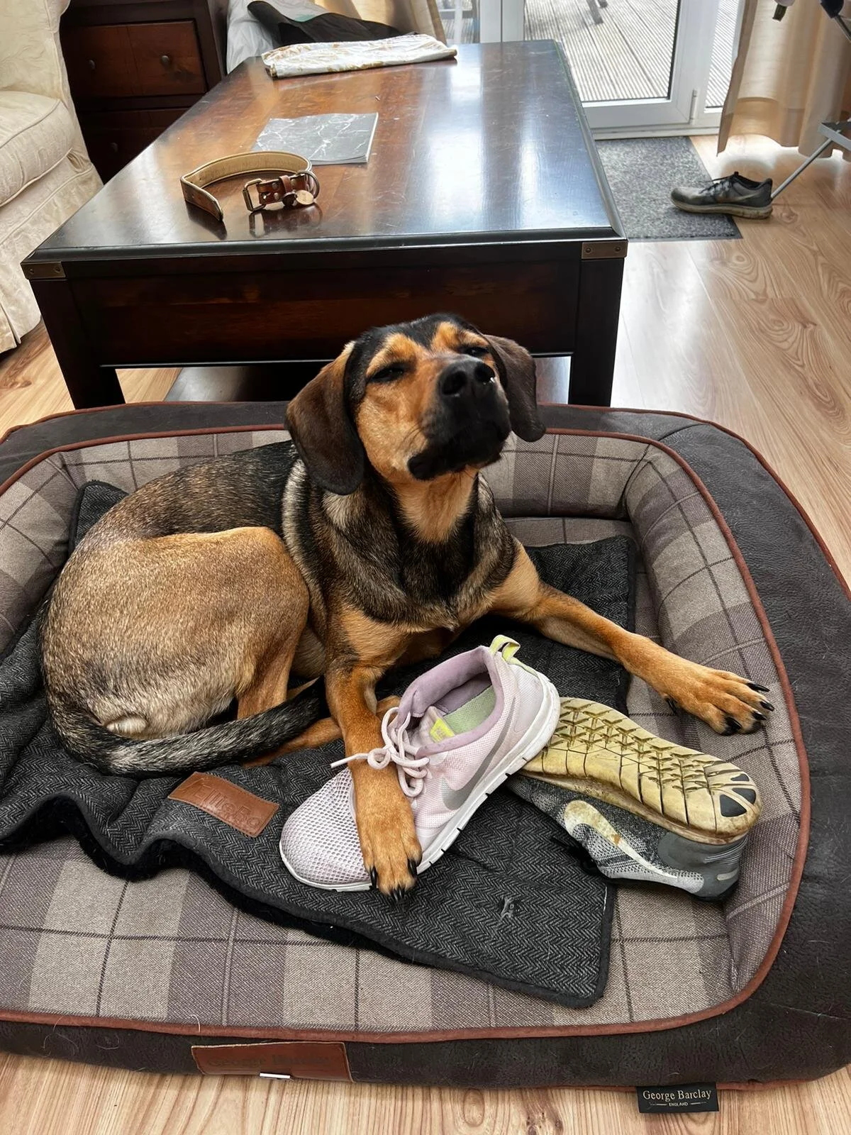 BDC13C0B-9EED-40CF-B8AC-D36C323D0698