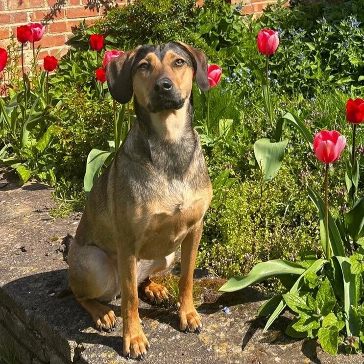 1808043D-CB70-49E5-875E-83537F9A6058